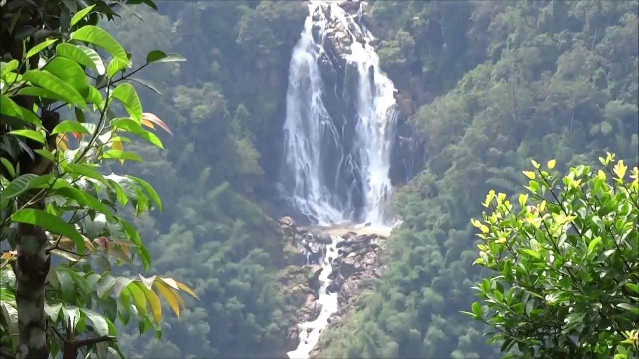 Best Waterfalls in and around Wayanad Worth Visiting - Travel Toons ...